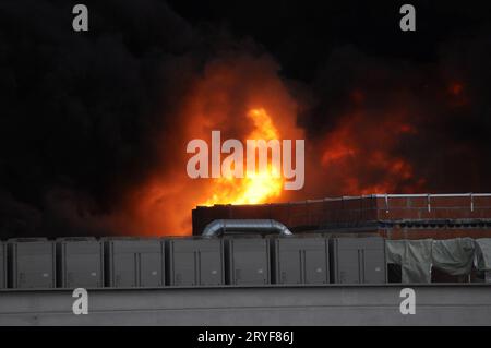 il gas di combustione tossico negli incendi, un pericolo per la salute Foto Stock