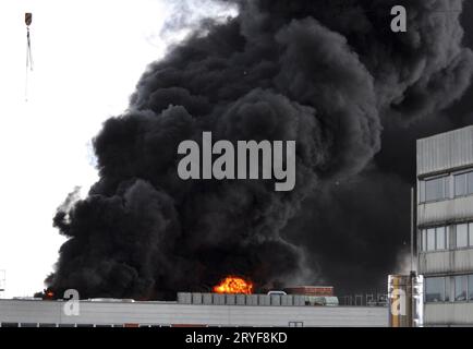 il gas di combustione tossico negli incendi, un pericolo per la salute Foto Stock