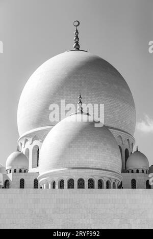 ABU DHABI, Emirati Arabi Uniti - 31 DICEMBRE 2019: Cupole della Grande Moschea Sheikh Zayed ad Abu Dhabi, Emirati Arabi Uniti in bianco e nero Foto Stock