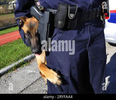 Un cane della polizia addestrato o un'unità K-9 Foto Stock