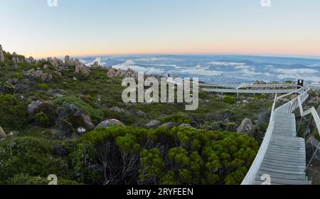Monte Kunanyi sul monte Wellington sul fiume Derwent, Hobart, Tasmania. Le piante alpine crescono lungo il bordo del passaggio pedonale che offre un punto di osservazione. Foto Stock