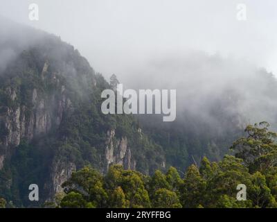 Lago Mackintosh nella costa occidentale della Tasmania una diga utilizzata per le centrali idroelettriche. Circondato da un'incantevole vegetazione endemica e antica foresta. Foto Stock