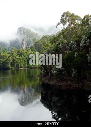 Lago Mackintosh nella costa occidentale della Tasmania una diga utilizzata per le centrali idroelettriche. Circondato da un'incantevole vegetazione endemica e antica foresta. Foto Stock