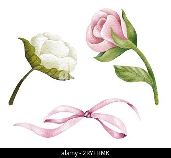 Acquerello rosa e bianco fiori di rosa, foglie verdi, fiori chiusi. Delicata illustrazione ad acquerello Foto Stock