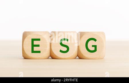 Parola ESG su cubo di legno. Copia spazio Foto Stock