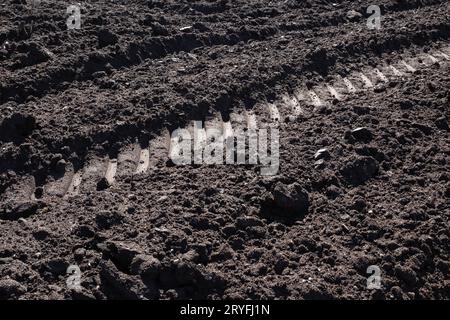 Terreno coltivato arato con file e ingombro del trattore. Struttura di sfondo agricola Foto Stock