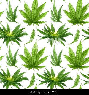 Canapa acquerello modello senza giunture. Modello disegnato a mano di canapa. Olio di cannabis sfondo bianco Foto Stock