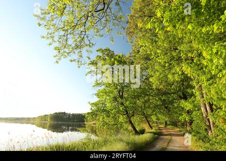 Paesaggio di primavera Foto Stock