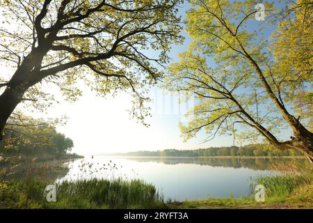 Paesaggio di primavera Foto Stock