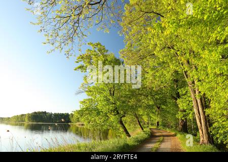 Paesaggio di primavera Foto Stock