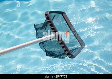 Pulizia e manutenzione della piscina con skimmer a rete Foto Stock