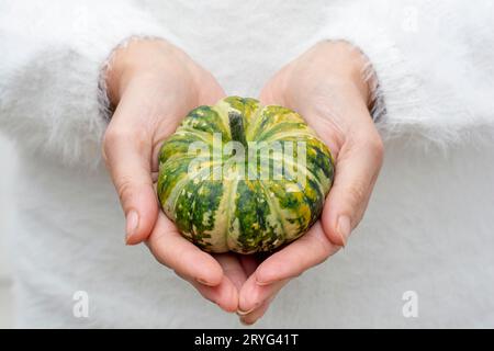 Donna irriconoscibile che tiene in mano una sola zucca nana decorativa verde. Foto Stock