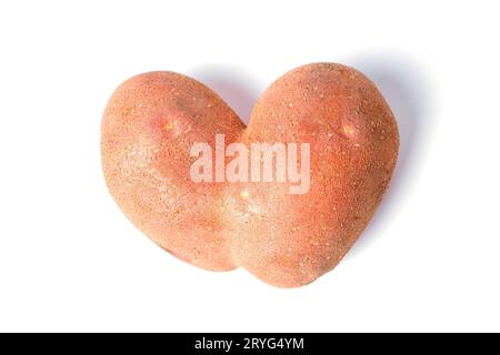 Vista ravvicinata di una grande patata cruda a forma di cuore isolata su sfondo bianco. Foto Stock