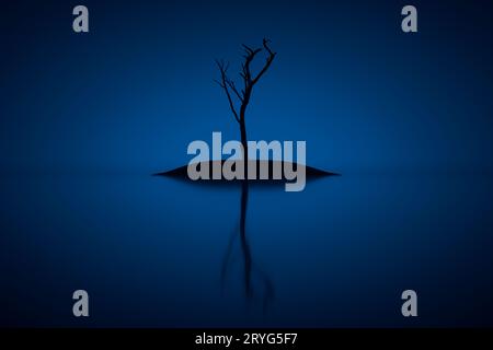 Albero singolo asciutto su una piccola isola in mare aperto. Foto Stock