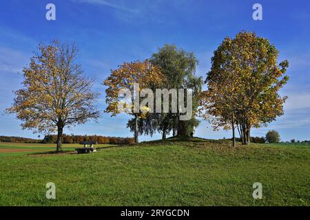 Gruppo di alberi con traversata in autunno sul Giura svevo vicino a Gammertingen-Harthausen; tedesco Foto Stock