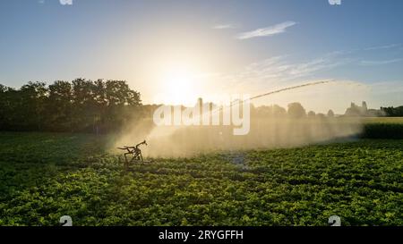 Vista aerea scattata da un drone di un irrigatore che irradia un campo agricolo in una giornata calda e secca in estate Foto Stock