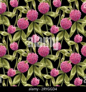 Motivo trifoglio rosa acquerello senza cuciture. Illustrazione botanica disegnata a mano di fiori selvatici e foglie su sfondo nero. Tesoro Foto Stock