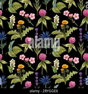 Acquerello fiori selvatici modello senza cuciture con i diversi fiori prati. Trifoglio, cardo blu, lampone, pattern di danzante. Vi Foto Stock