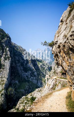 Cares Trail - ruta del Cares - a Picos de Europa, Asturie, Spagna Foto Stock