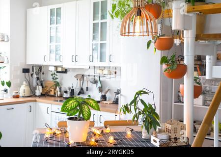 Il piano generale di una moderna cucina rustica di colore bianco chiaro con una scala modulare in metallo decorata con piante in vaso. Interno di una casa con homeplan Foto Stock