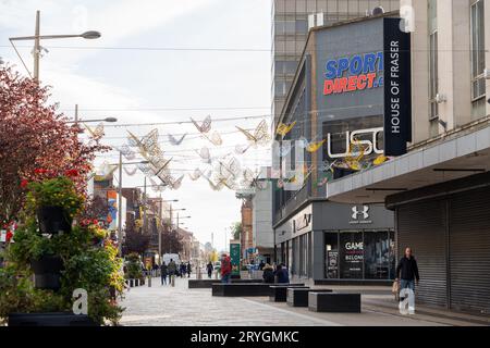 Una vista della principale area commerciale della città di Middlesbrough, Regno Unito, su Linthorpe Road, con arte delle farfalle. Foto Stock