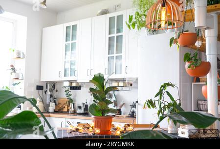 Il piano generale di una moderna cucina rustica di colore bianco chiaro con una scala modulare in metallo decorata con piante in vaso. Interno di una casa con homeplan Foto Stock