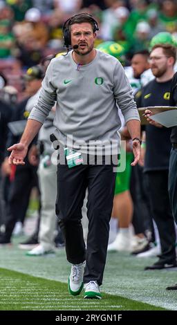 Settembre 30 2023 Palo alto, CA USA, capo-allenatore dell'Oregon Dan Lanning a bordo campo durante la partita di football NCAA tra gli Oregon Ducks e gli Stanford Cardinal.Oregon batté Stanford 42-6 allo Stanford Stadium Palo alto, CA Thurman James/CSM Foto Stock