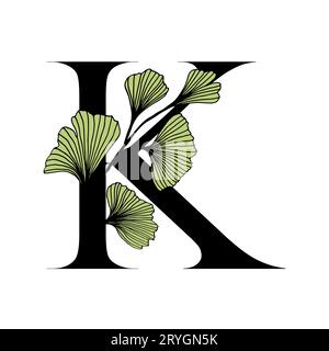 Ginkgo biloba lascia l'alfabeto K. distintivo e icona in stile lineare e alla moda disegnato a mano. Lettera dell'emblema del logo vettoriale e ramo ginkgo. Illustrazione per cosme Illustrazione Vettoriale