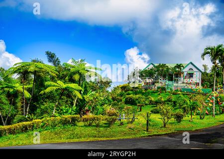 Il Parco Nazionale del Grand Etang è una riserva naturale di Grenada Foto Stock