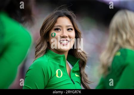 Settembre 30 2023 Palo alto, CA USA, cheerleader degli Oregon Ducks durante la partita di football NCAA tra gli Oregon Ducks e gli Stanford Cardinal.Oregon batte lo Stanford 42-6 allo Stanford Stadium Palo alto, CA Thurman James/CSM Foto Stock