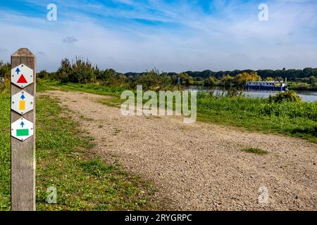 Palo in legno con segni di diversi percorsi escursionistici accanto al sentiero tra erba verde e parallelo al fiume Maas, barca ancorata, alberi sullo sfondo, soleggiato Foto Stock