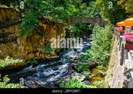 Vista sul ponte Jungfern sul Bode, sulle montagne Harz Foto Stock