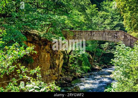 Vista sul ponte Jungfern sul Bode, sulle montagne Harz Foto Stock