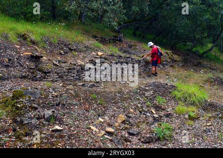 Un escursionista osserva la necropoli di Los Castros de lastra dall'età del ferro. Valdegov’a.. Alava. Paesi baschi. Spagna. Foto Stock