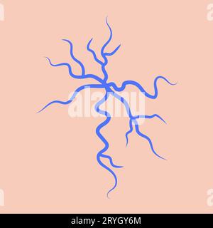 Anatomia delle vene ragno blu. Concetto di malattia varicosa. Sistema cardiovascolare umano. Rete di vasi sanguigni, arterie o capillari. Vec. Piatto medico Illustrazione Vettoriale