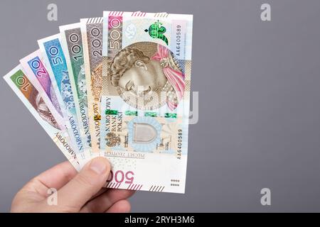 Polacco Zloty in mano su sfondo grigio Foto Stock