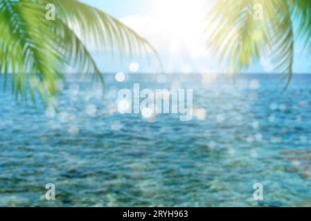 Sfocatura di bella natura verde foglia di palma sulla spiaggia tropicale, sfondo astratto. Concetto di spazio copia delle vacanze estive e dei viaggi di lavoro. Foto Stock
