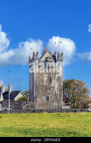 Castello di Claregalway, Irlanda Foto Stock