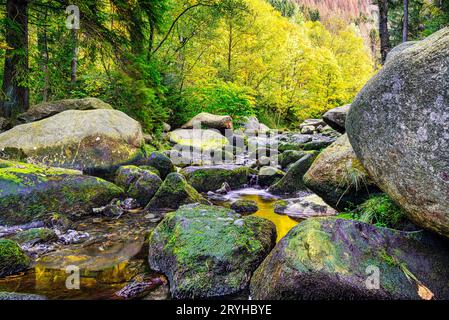 Paesaggio autunnale panoramico con grandi pietre nel letto del fiume Oker Foto Stock