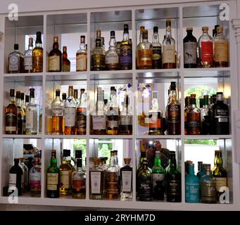 Ampia raccolta di diverse bottiglie di whisky Single Malt Scotch Foto Stock