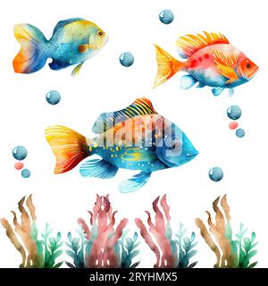 Set di pesci acquerelli . Pesce angelo fiamma, pesce farfalla a banda di rame, pesce angelo maschera viola, pesce angelo zebra, Blue Tang, Betta sple Foto Stock