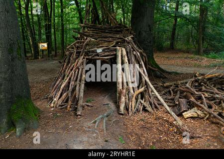 Una tenda fatta di rami costruita nel bosco. Germania Foto Stock