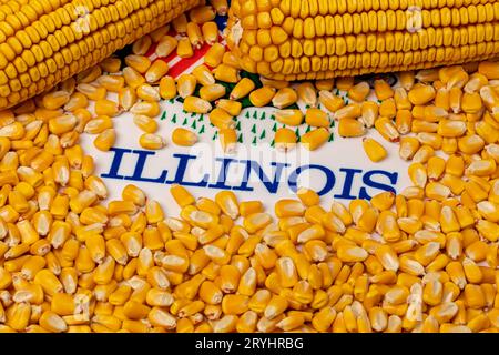 Bandiera dell'Illinois ricoperta di semi di mais. Concetto di agricoltura, agricoltura e etanolo Foto Stock