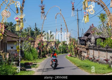 BALI, INDONESIA - 16 APRILE 2017: Strade a Bali. I polacchi Penjor possono essere visti come parte dell'annuale Galungan Celebration. Una persona in bicicletta può essere se stessa Foto Stock