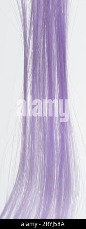 Fili lunghi di capelli viola isolati su sfondo bianco dello studio Foto Stock