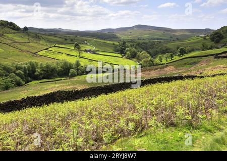 La valle del fiume Dane vicino al villaggio di Knar, Cheshire, Inghilterra, Regno Unito Foto Stock