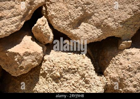 Primo piano della lucertola tra le rocce Foto Stock