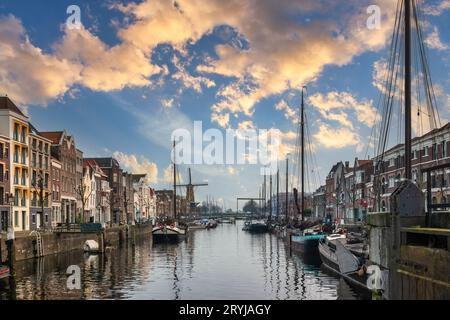 Rotterdam Paesi Bassi, tramonto sullo skyline della città al Porto Vecchio (Oude Haven) Foto Stock
