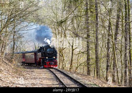 Vecchia ferrovia nei Monti Harz in Germania Foto Stock
