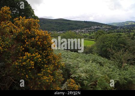 Vista di Doreen da Caer Drewyn Hillfort, Galles Foto Stock